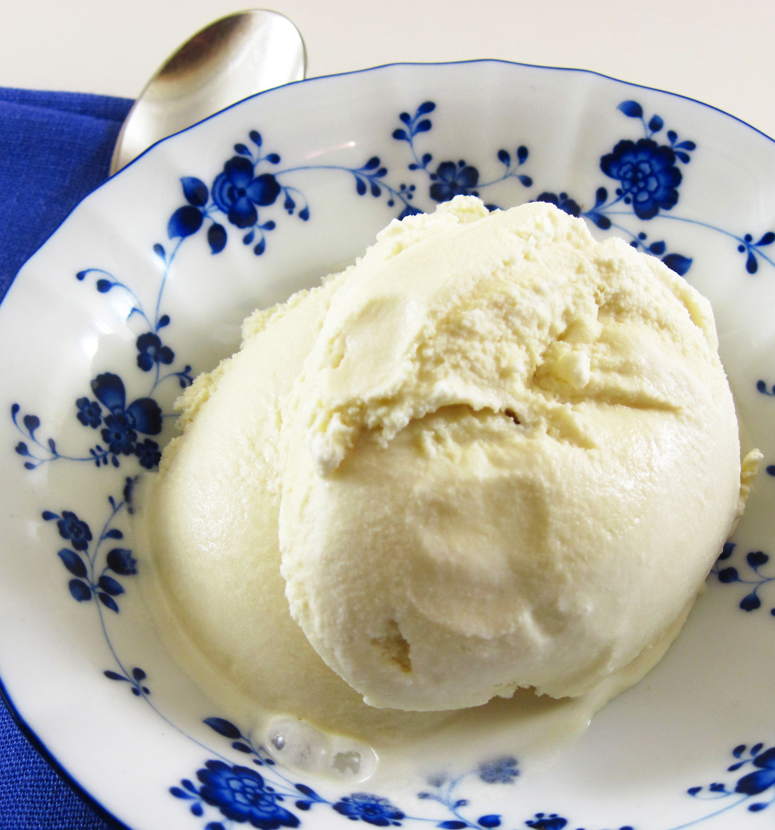 Vanilla Bean Ice Cream 14 Servings