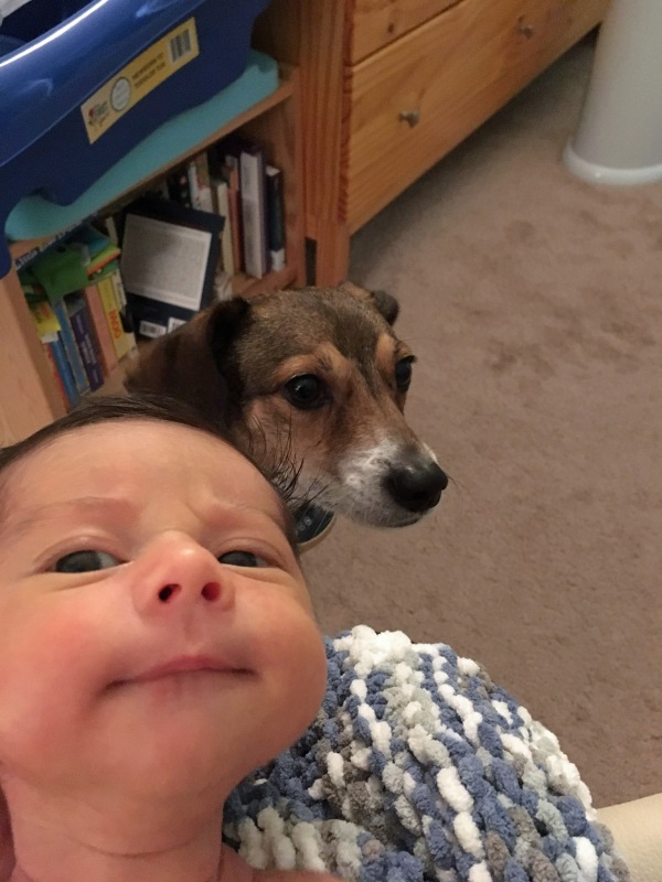 Emerson (16 days old) and Louie